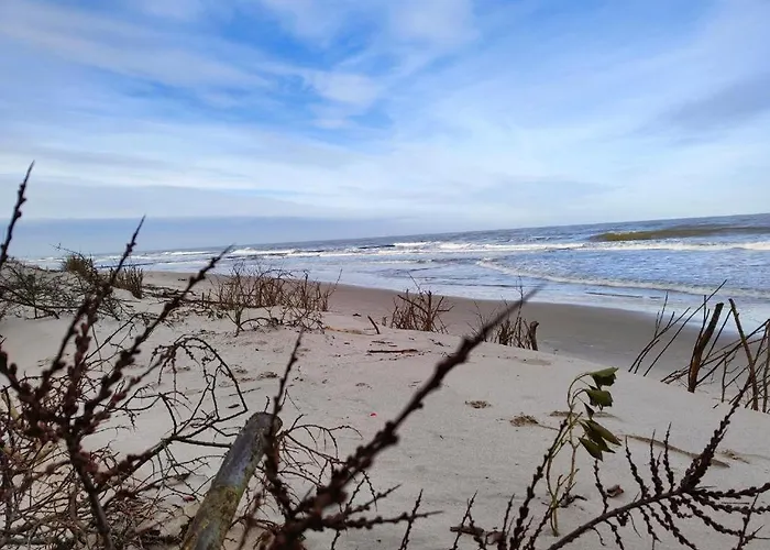 5 Z Widokiem Na Basen *